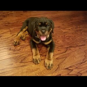 Meet your Posher, Maria